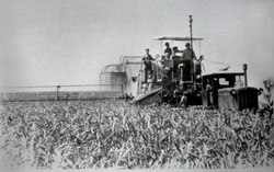 Комбайн Сталинец-6 на уборке озимой пшеницы